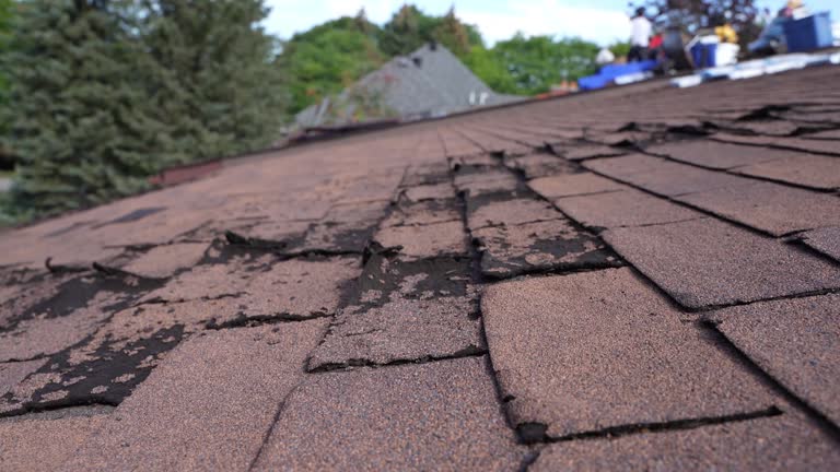 Best Roof Ventilation Installation  in Wurtland, KY